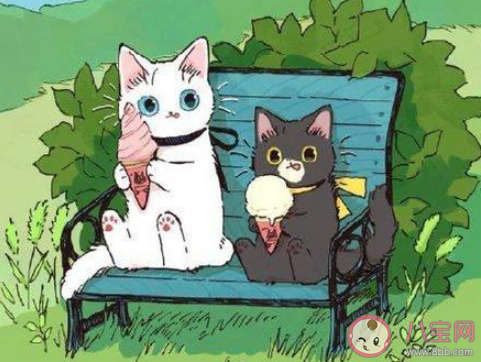 阿YueYue《云與海》歌詞是什么 《云與海》完整版歌詞在線聽歌