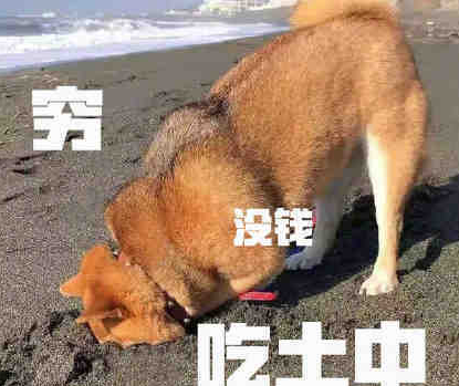 雙十一過后吃土的搞笑說說 雙十一后吃圭人的幽默句子