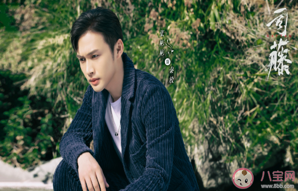 《司藤》人物角色海報匯總 《司藤》講述了什么故事