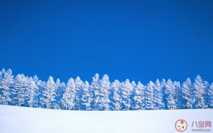 大雪過后為什么會覺得格外寂靜 螞蟻莊園小課堂11月12日今日答案 大雪過后為什么會覺得格外寂靜 螞蟻莊園小課堂11月12日今日答案