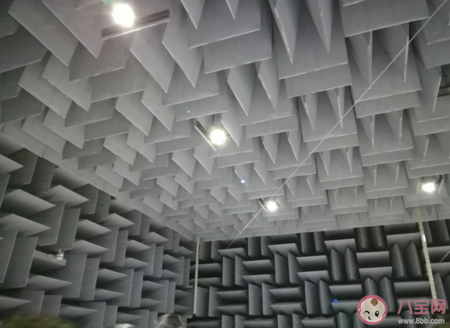 大雪過后為什么會覺得格外寂靜 螞蟻莊園小課堂11月12日今日答案 大雪過后為什么會覺得格外寂靜 螞蟻莊園小課堂11月12日今日答案