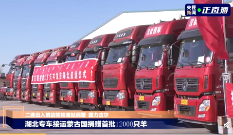 12000只羊什么時候抵達武漢 蒙古國捐贈羊何時到武漢