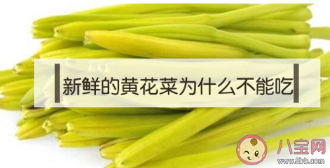 吃的是干的黃花菜這是因為鮮黃花菜含有 螞蟻莊園小課堂今日11月13日答案 吃的是干的黃花菜這是因為鮮黃花菜含有 螞蟻莊園小課堂今日11月13日答案