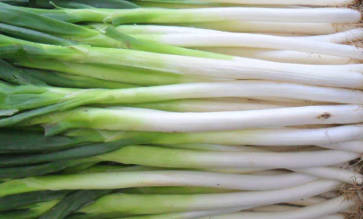 大蔥價格上漲的原因是什么 大蔥還會繼續漲價嗎