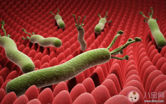 殺幽牙膏真的有用嗎 能殺死幽門螺旋桿菌嗎