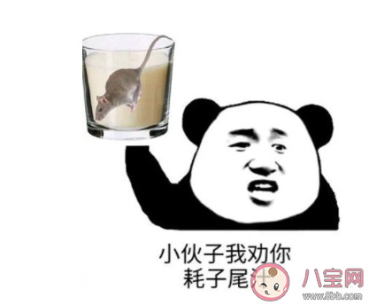 耗子尾汁是什么梗 耗子喂汁下一句怎么接