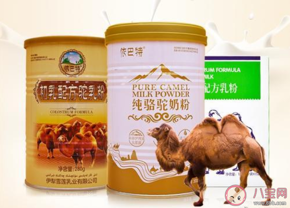 羊奶水牛奶等小眾奶是智商稅嗎 喝小眾奶要注意哪些坑