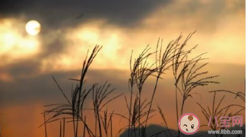 沒來得及說抱歉你已經(jīng)不在身邊是什么歌 《迷失幻境》DJ版完整版歌詞在線聽歌 沒來得及說抱歉你已經(jīng)不在身邊是什么歌 《迷失幻境》DJ版完整版歌詞在線聽歌