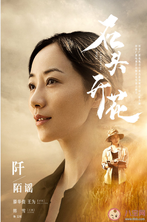 《石頭開花》講述了什么故事 《石頭開花》十個單元故事是什么