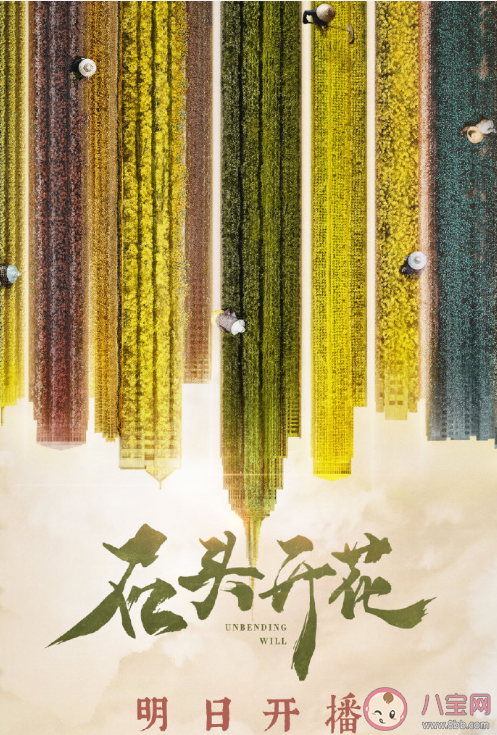 《石頭開花》是根據真人真事改編的嗎 《石頭開花》什么時候播出 《石頭開花》是根據真人真事改編的嗎 《石頭開花》什么時候播出