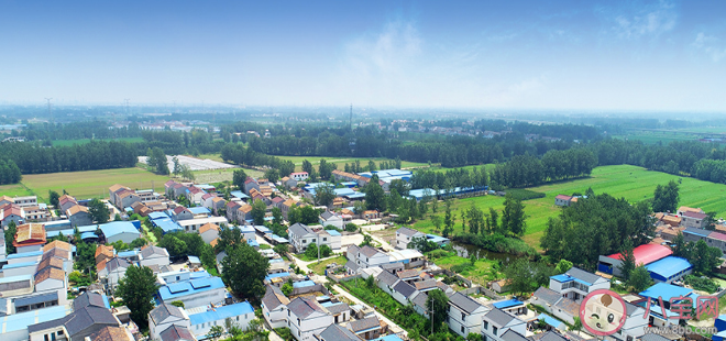 石頭開花《信任》單元有故事原型嗎 《信任》故事原型是什么