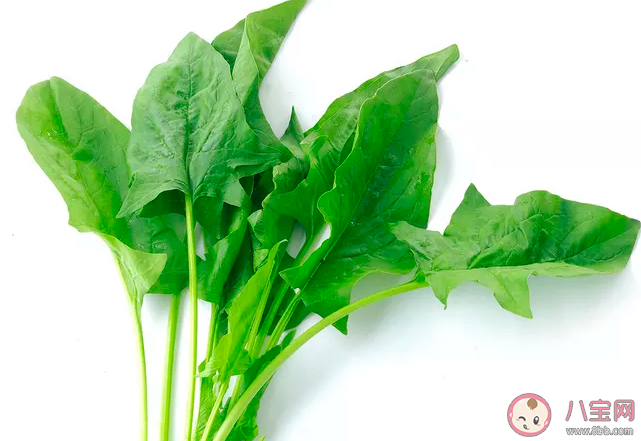 孩子長高必吃的食物 怎么刺激孩子長高 孩子長高必吃的食物 怎么刺激孩子長高