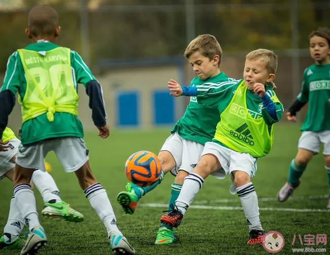 孩子長高必吃的食物 怎么刺激孩子長高 孩子長高必吃的食物 怎么刺激孩子長高