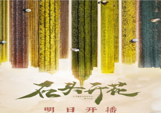《石頭開花》是根據真人真事改編的嗎 《石頭開花》什么時候播出
