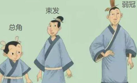 弱冠指的是男子多少歲 最新螞蟻莊園11月17日答案