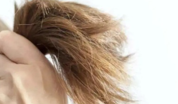 成語(yǔ)黃發(fā)垂髫中黃發(fā)指的是 螞蟻莊園11月18日答案