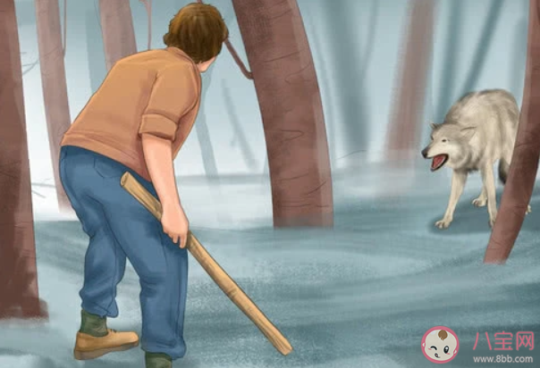 青海鄉干部跳入冰湖救落水野狼是怎么回事 在野外遇見狼了怎么辦