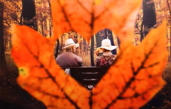 秋天的落葉怎么拍好看 落葉創意拍攝技巧分享 秋天的落葉怎么拍好看 落葉創意拍攝技巧分享