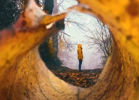 秋天的落葉怎么拍好看 落葉創意拍攝技巧分享 秋天的落葉怎么拍好看 落葉創意拍攝技巧分享