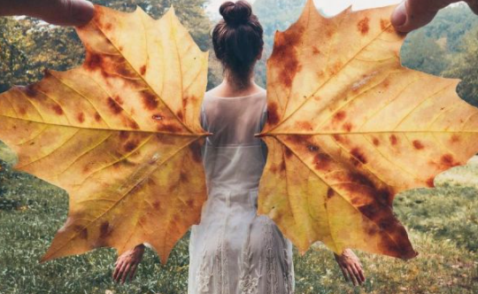 秋天的落葉怎么拍好看 落葉創意拍攝技巧分享 秋天的落葉怎么拍好看 落葉創意拍攝技巧分享