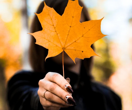 秋天的落葉怎么拍好看 落葉創意拍攝技巧分享 秋天的落葉怎么拍好看 落葉創意拍攝技巧分享