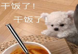 干飯人文案語錄合集 干飯人發朋友圈文案說說句子