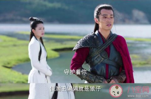 《狼殿下》經(jīng)典臺詞句子摘抄 《狼殿下》經(jīng)典臺詞語錄大全