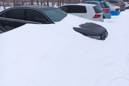 2020今日小雪朋友圈文案大全 今日小雪經(jīng)典說說