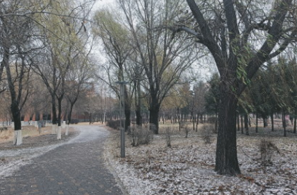 2020今日小雪朋友圈文案大全 今日小雪經典說說 2020今日小雪朋友圈文案大全 今日小雪經典說說