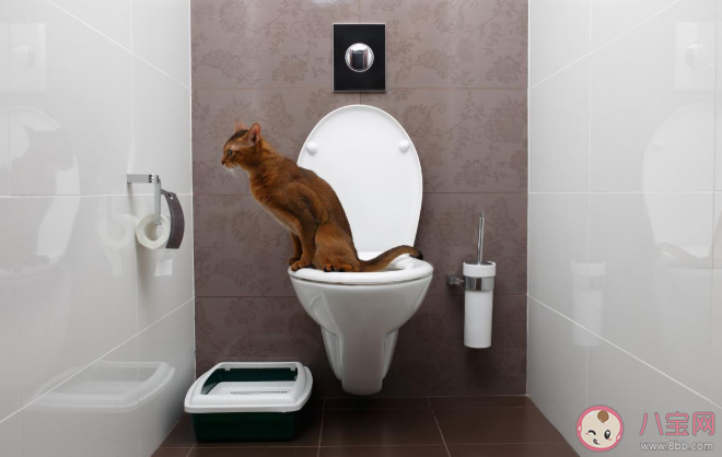 常見的10個扎心的生活難題解答 生活中有哪些常見的難題