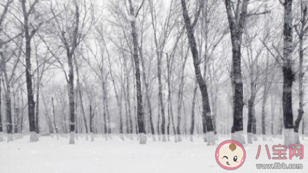 今日小雪早上好說說句子 小雪節(jié)氣早安唯美說說