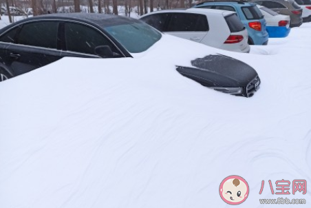 今日小雪早上好說說句子 小雪節(jié)氣早安唯美說說 今日小雪早上好說說句子 小雪節(jié)氣早安唯美說說