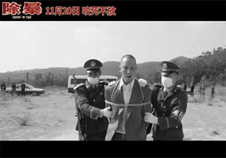 《除暴》影評觀后感大全 《除暴》影評感想美篇