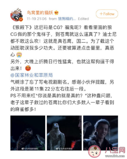 《狼殿下》蒼鷹是真鷹還是CG制作  蒼鷹是國家二級保護動物嗎