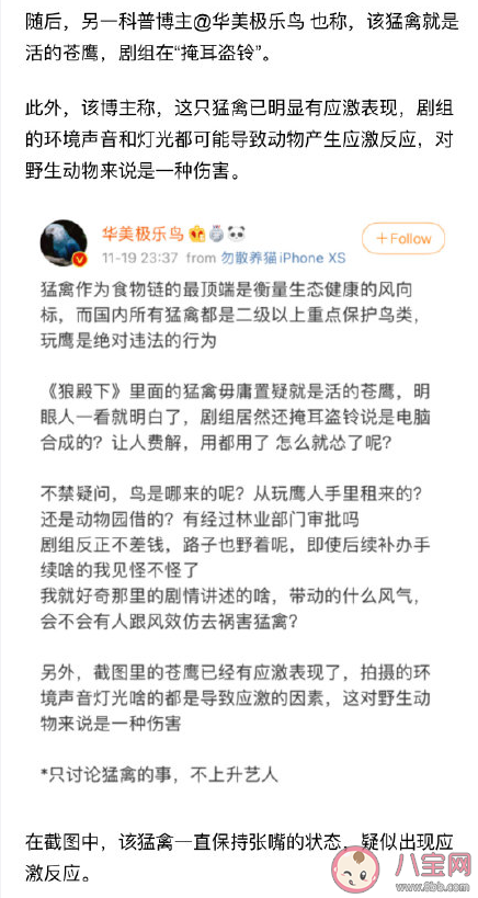 《狼殿下》蒼鷹是真鷹還是CG制作  蒼鷹是國家二級保護動物嗎