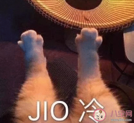 天越冷越不想上班心情說說 天冷不想上班心情感慨 天越冷越不想上班心情說說 天冷不想上班心情感慨