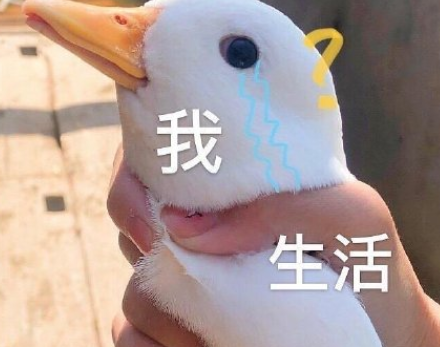 打工人不想上班朋友圈文案 打工人不想上班說說句子