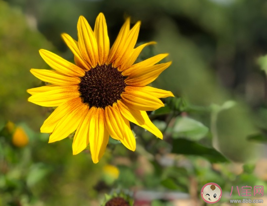 突然感覺很難過的說說 一瞬間心里難受的心情感言