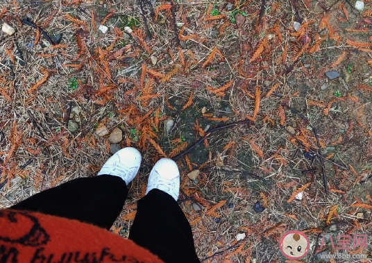 20020一年快過去的經(jīng)典說(shuō)說(shuō) 一年的時(shí)間感慨致自己語(yǔ)錄