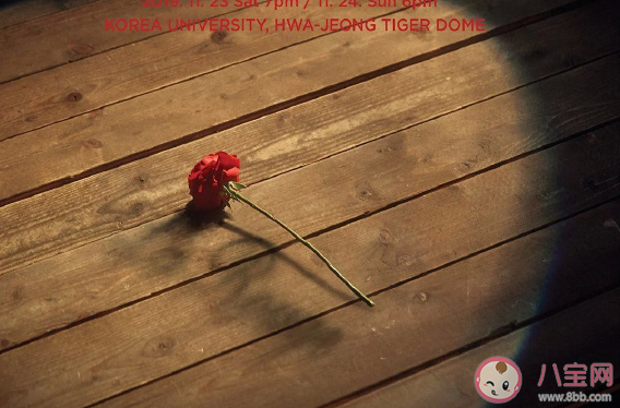 20020一年快過去的經(jīng)典說(shuō)說(shuō) 一年的時(shí)間感慨致自己語(yǔ)錄