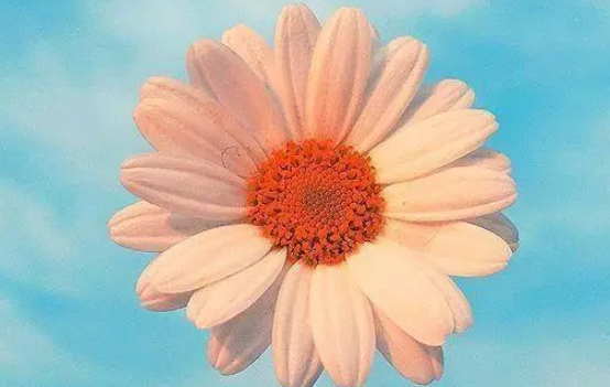 2021年加油正能量句子 2021年積極向上文案