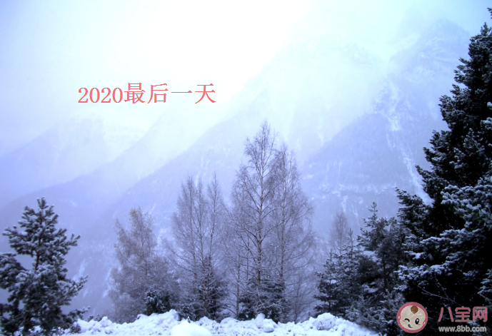 2020最后一天的朋友圈文案句子 2020最后一天朋友圈文案說說大全 2020最后一天的朋友圈文案句子 2020最后一天朋友圈文案說說大全