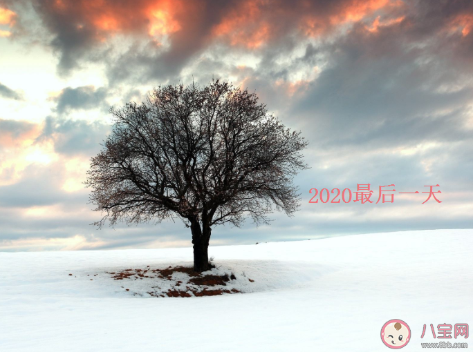 2020最后一天的朋友圈文案句子 2020最后一天朋友圈文案說說大全 2020最后一天的朋友圈文案句子 2020最后一天朋友圈文案說說大全