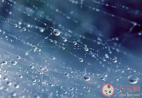 2020關于冬至發朋友圈祝福語大全 冬至微信問候語暖心句子