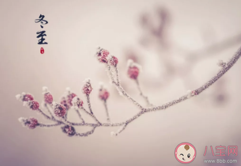 冬天有關(guān)冬至的溫暖句子 描寫冬至唯美一句話大全