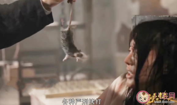 《隱秘而偉大》沈青禾受刑是第幾集 沈青禾最后的結局是什么 《隱秘而偉大》沈青禾受刑是第幾集 沈青禾最后的結局是什么