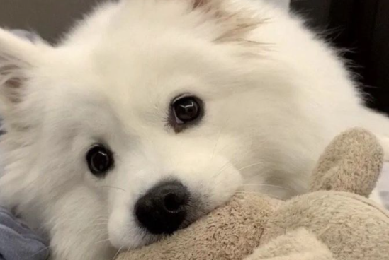 暗示自己不開心的朋友圈文案 暗示不開心的說說句子