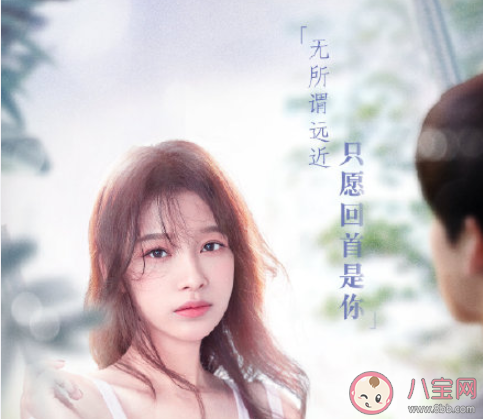 《與晨同光》追劇日歷 《與晨同光》追劇時間表