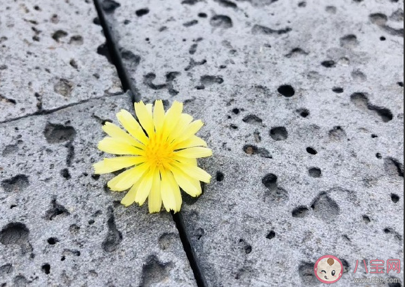 每天都下雨的微信說說 連續(xù)天天下雨心情說說 每天都下雨的微信說說 連續(xù)天天下雨心情說說