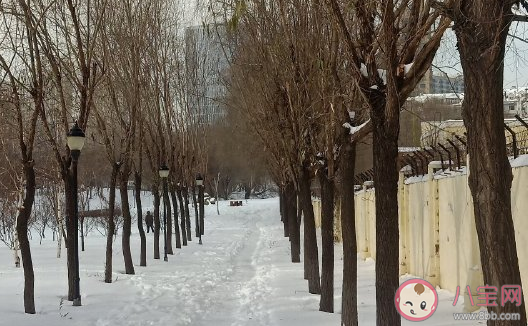 下大雪了怎么發朋友圈文案 抖音下雪超級火的句子